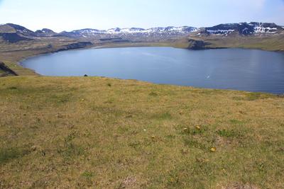 Au sommet de Hornbjarg