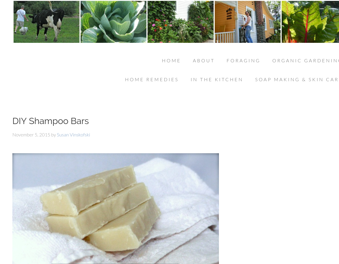 DIY Shampoo Bars